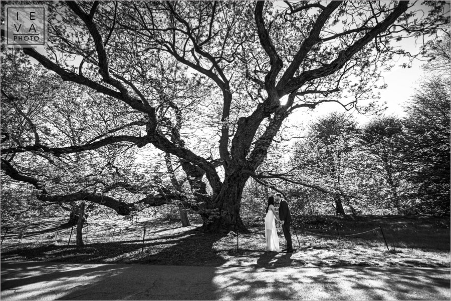 Brooklyn-batanical-Gardens-Engagement12