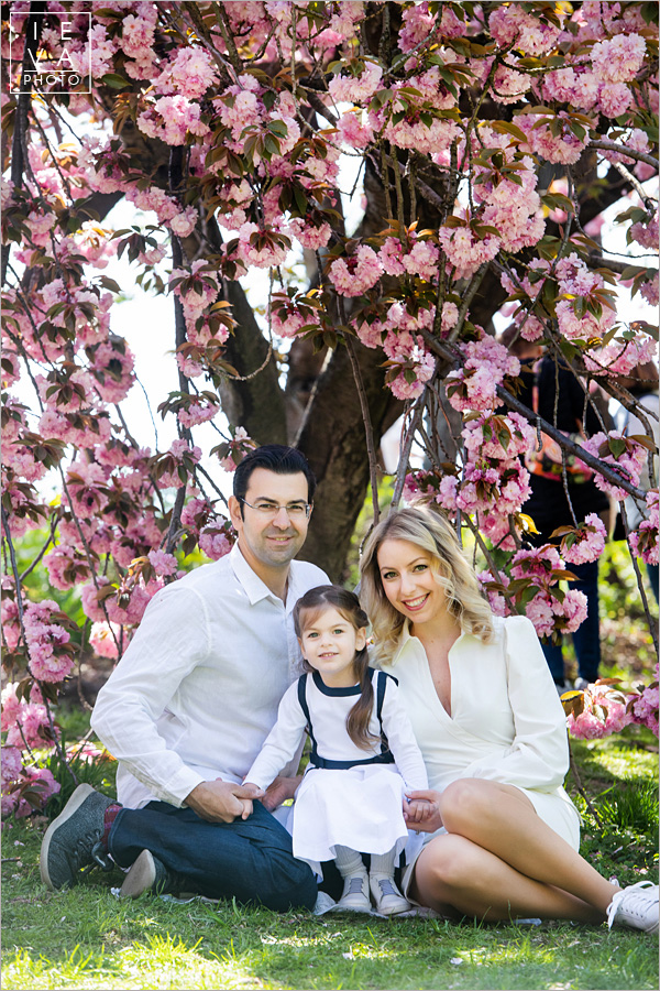 cherry-blossoms-family-session02