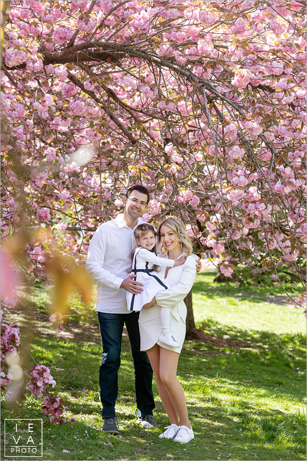 cherry-blossoms-family-session03