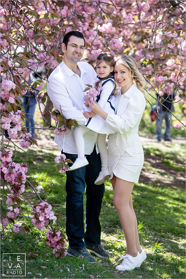 cherry-blossoms-family-session10