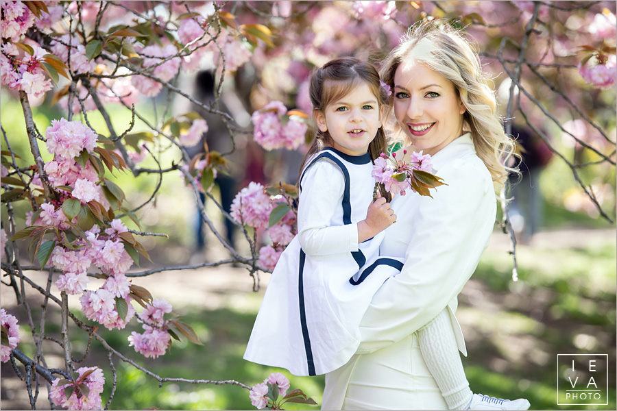 cherry-blossoms-family-session13