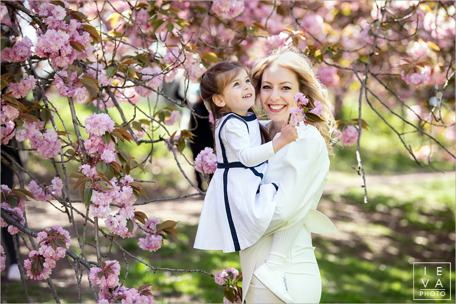cherry-blossoms-family-session15