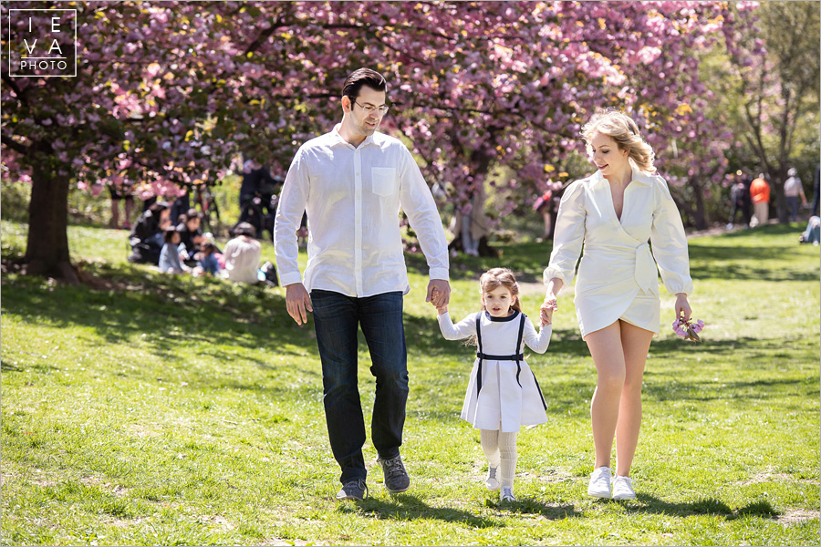 cherry-blossoms-family-session16
