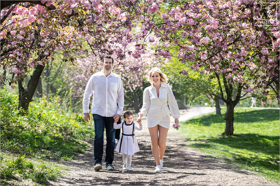 cherry-blossoms-family-session17
