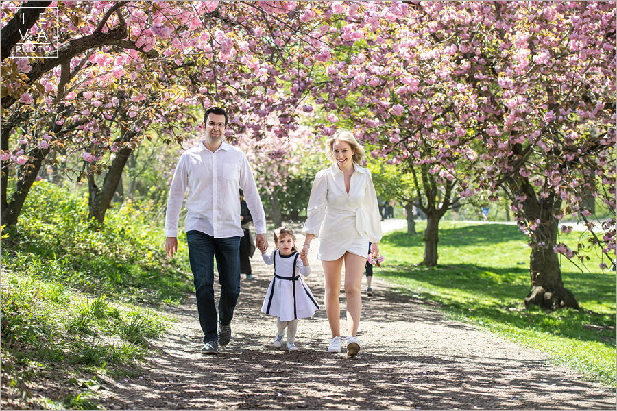 cherry-blossoms-family-session18