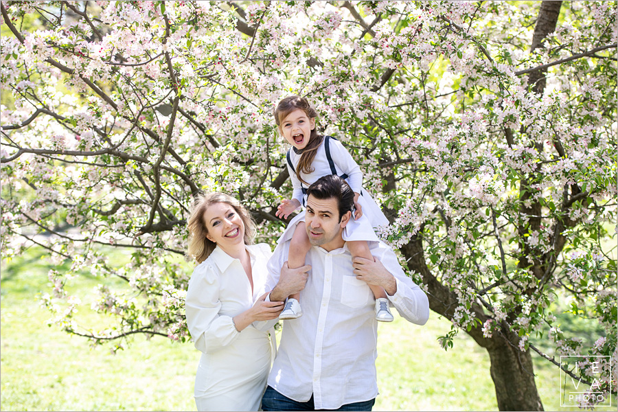 cherry-blossoms-family-session22
