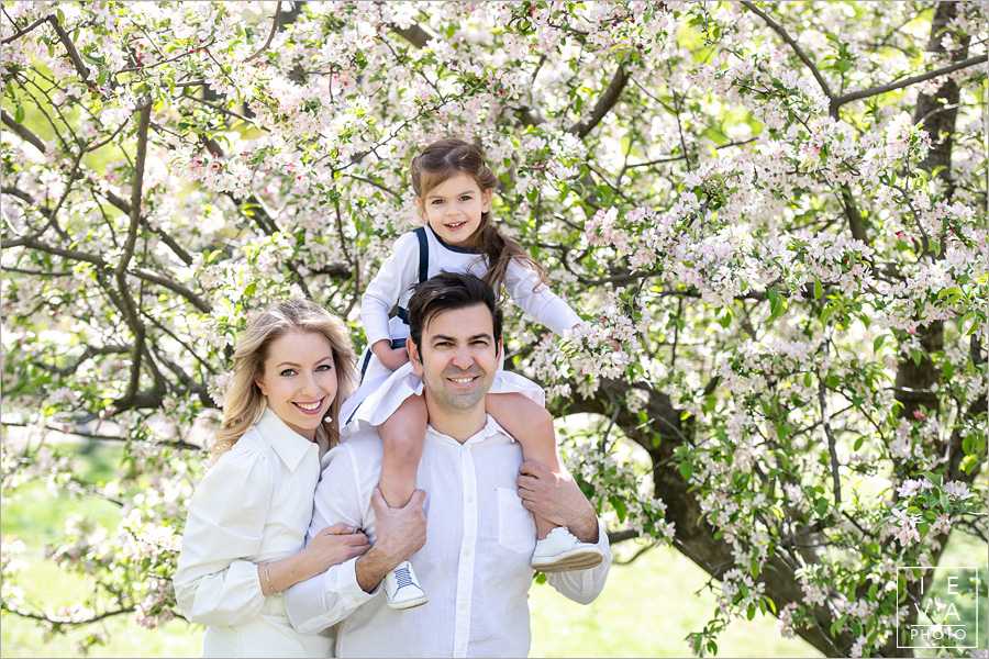 cherry-blossoms-family-session23