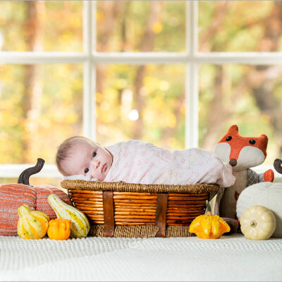 Fall Family & Newborn session || Scarsdale, NY