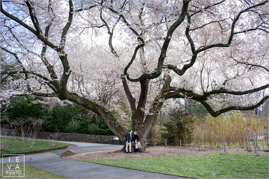 Bronx-Botanical-Garden-Engagement38